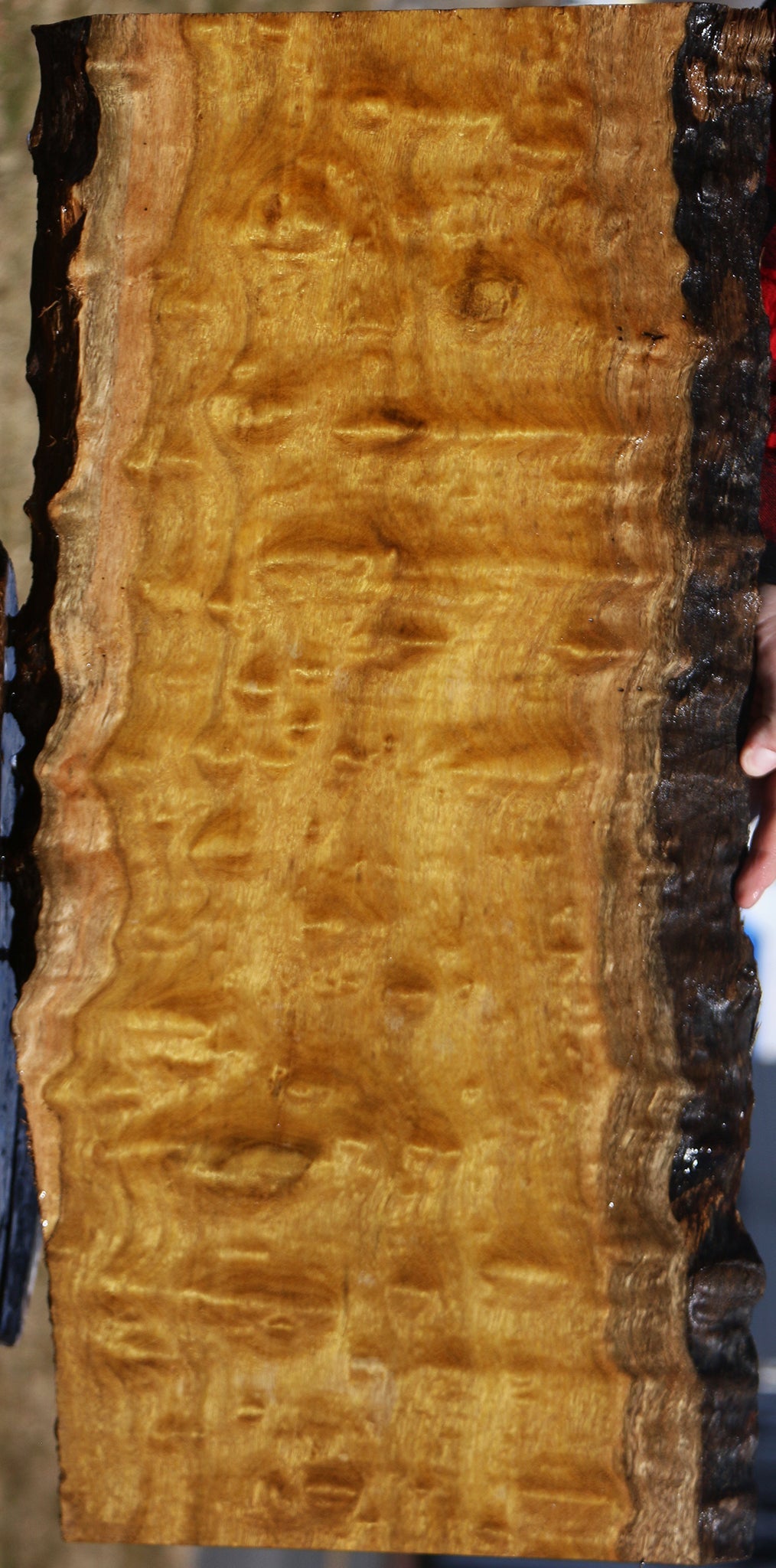 Extra Fancy Itauba Live Edge Lumber