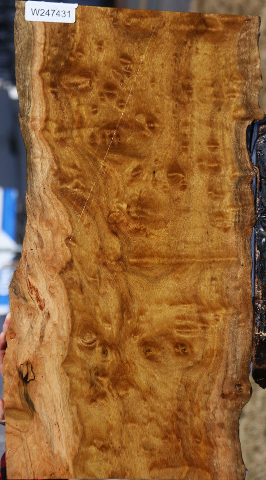 Extra Fancy Itauba Live Edge Lumber