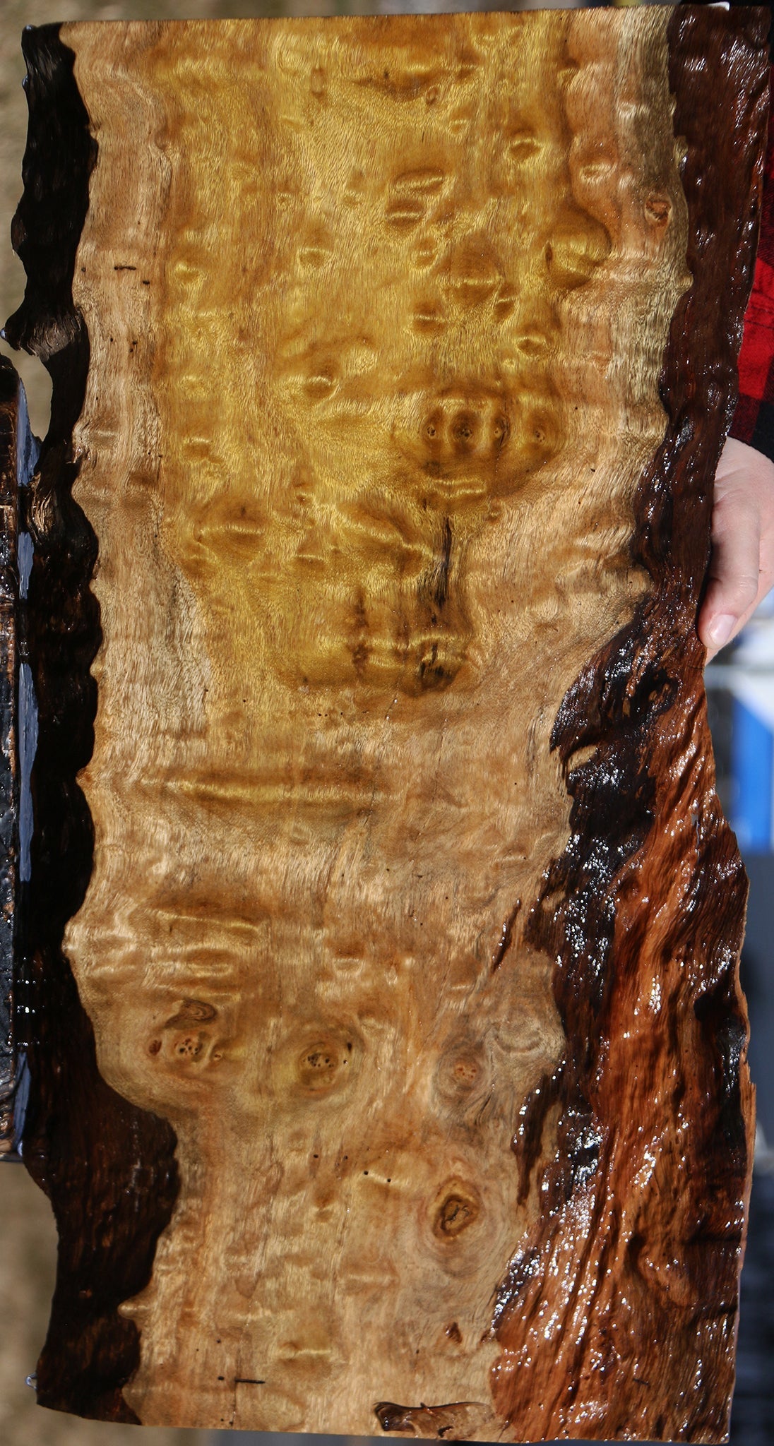 Extra Fancy Itauba Live Edge Lumber