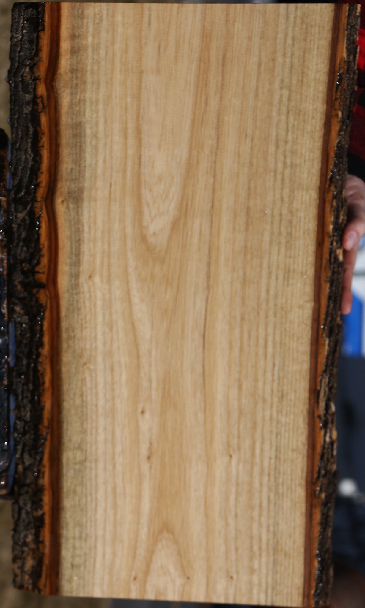 Butternut Live Edge Lumber – Cook Woods
