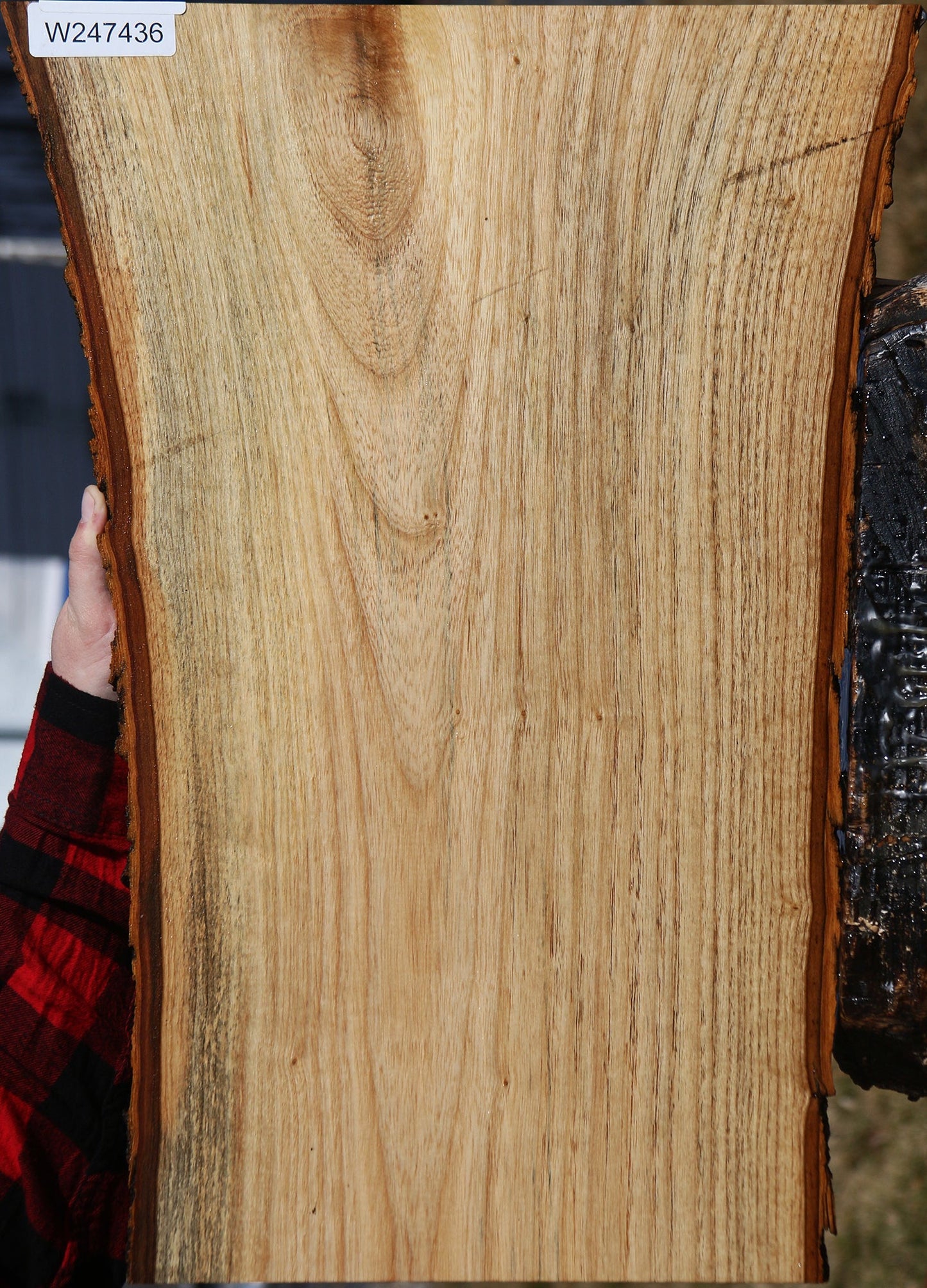 Butternut Live Edge Lumber