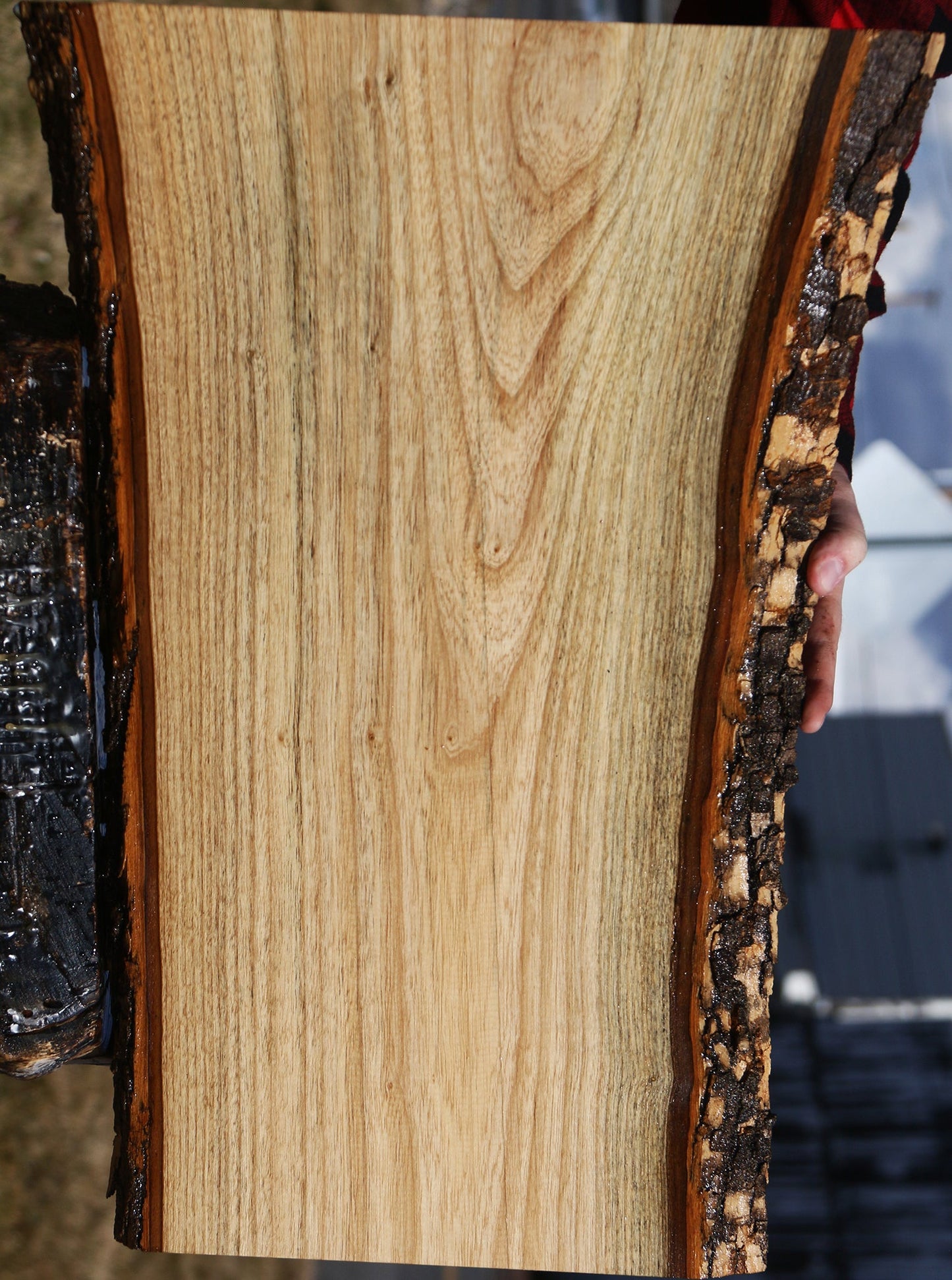 Butternut Live Edge Lumber