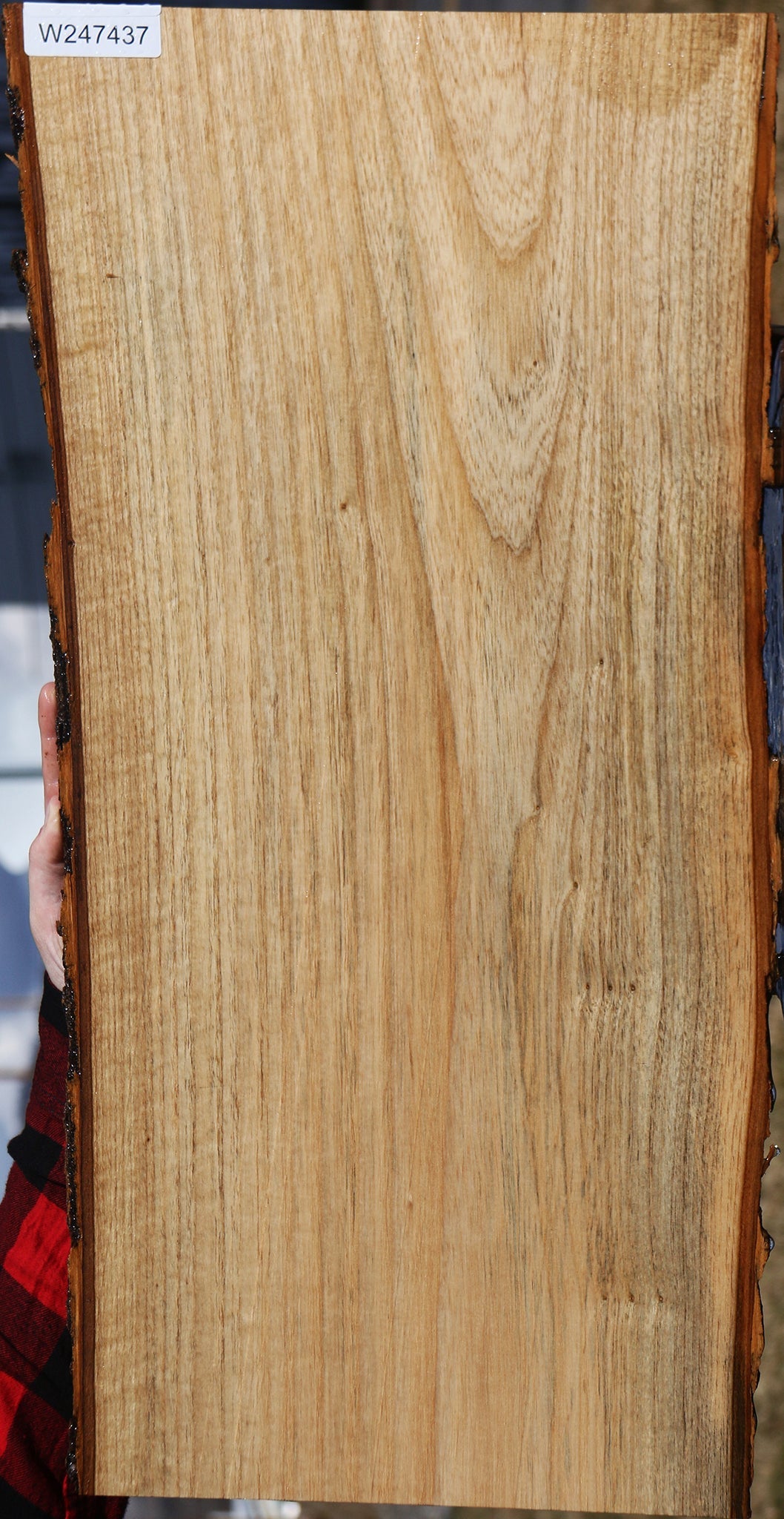 Butternut Live Edge Lumber