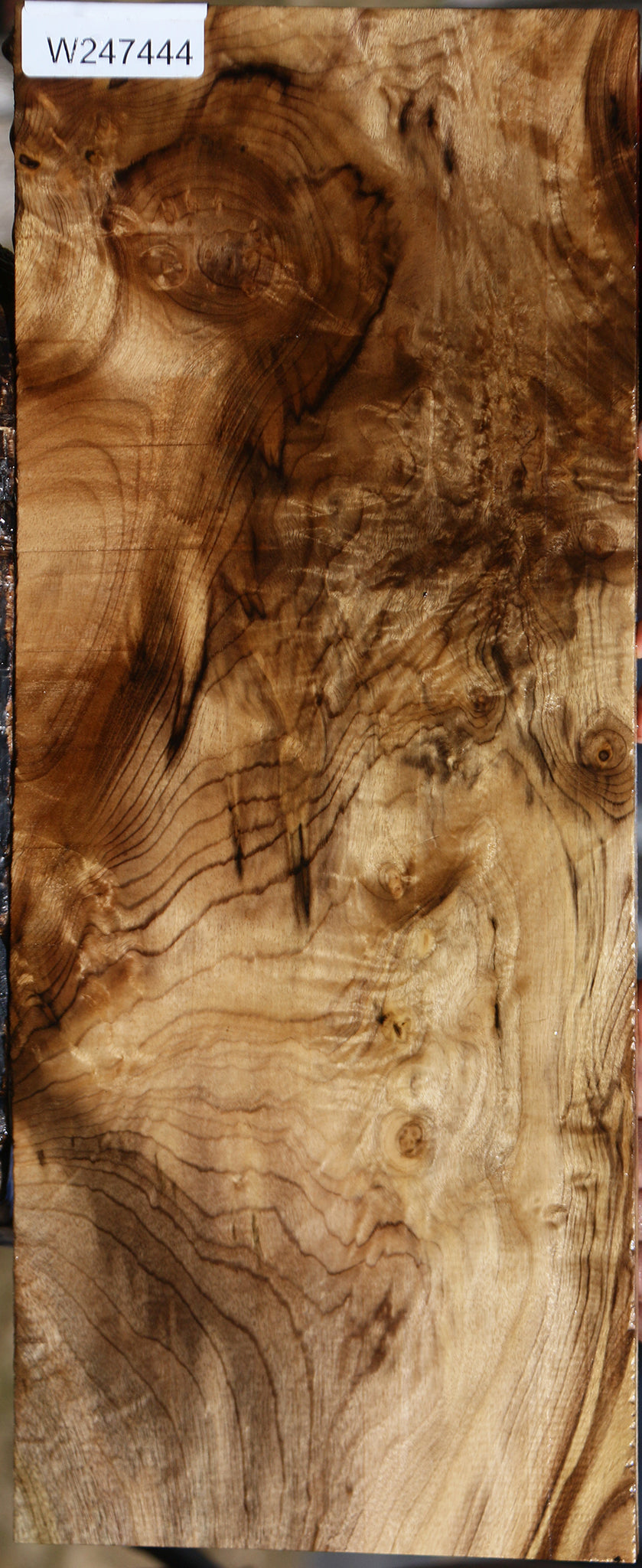 Extra Fancy Myrtle Lumber