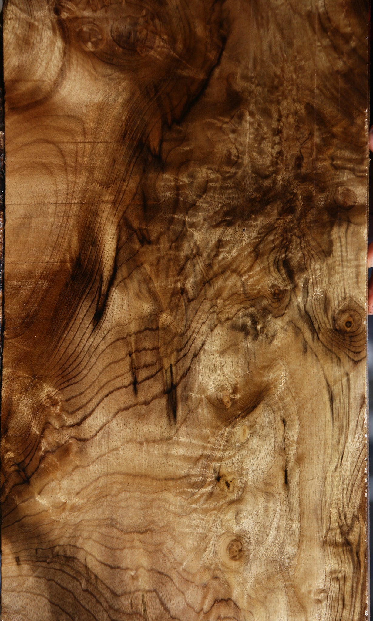 Extra Fancy Myrtle Lumber