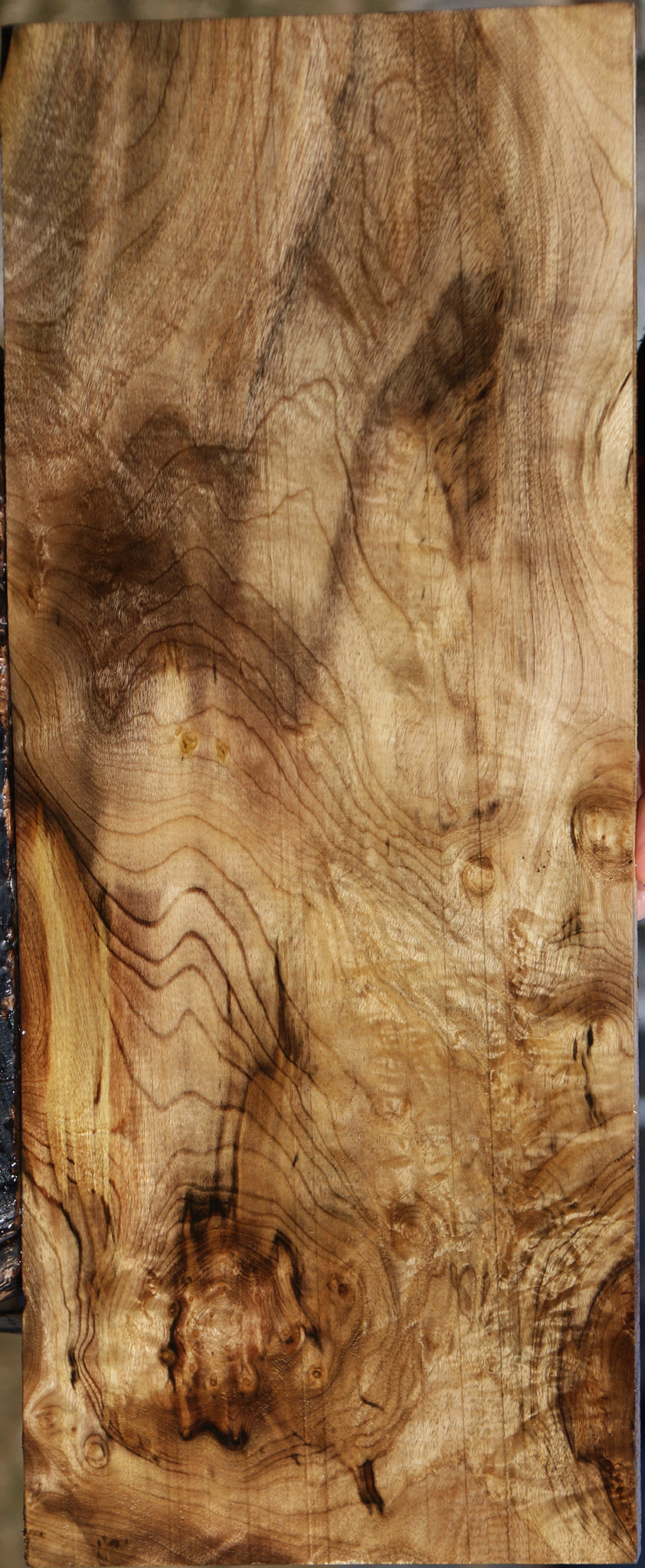 Extra Fancy Myrtle Lumber