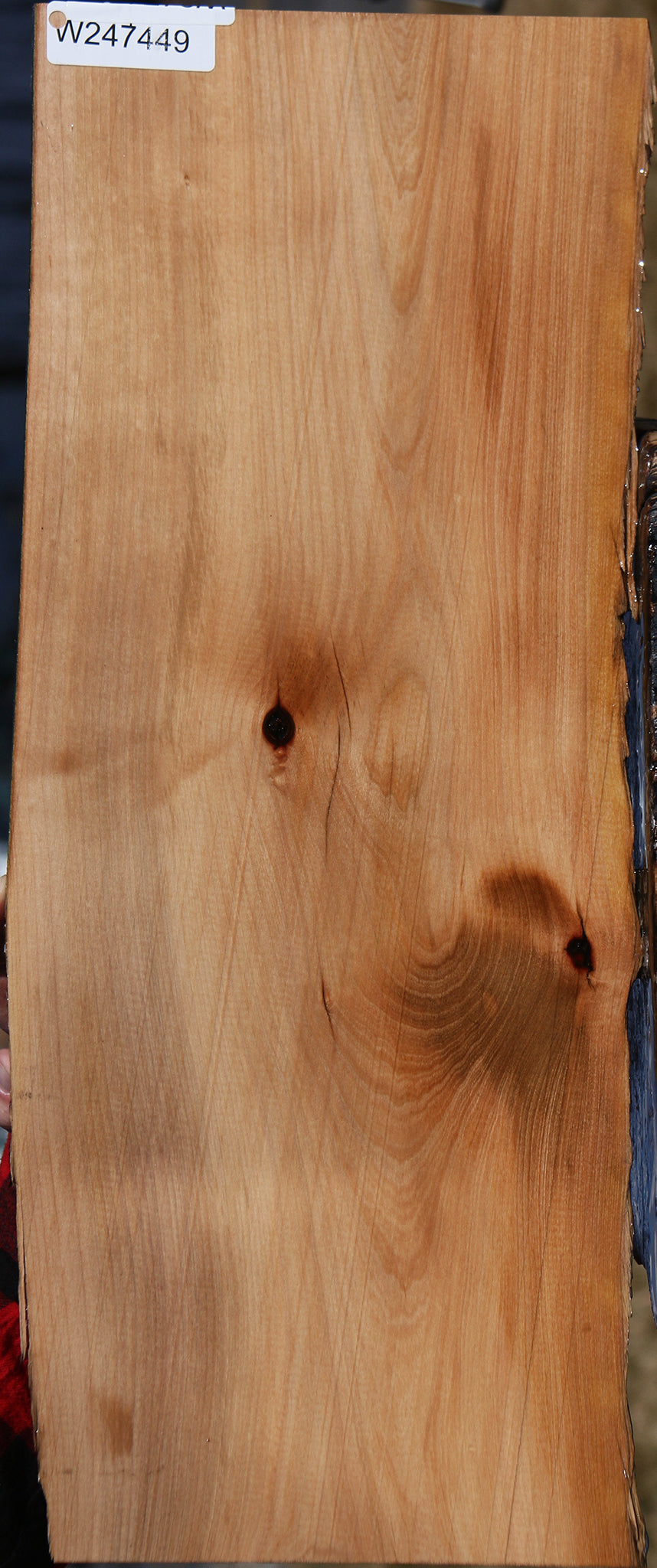 Madrone Live Edge Lumber