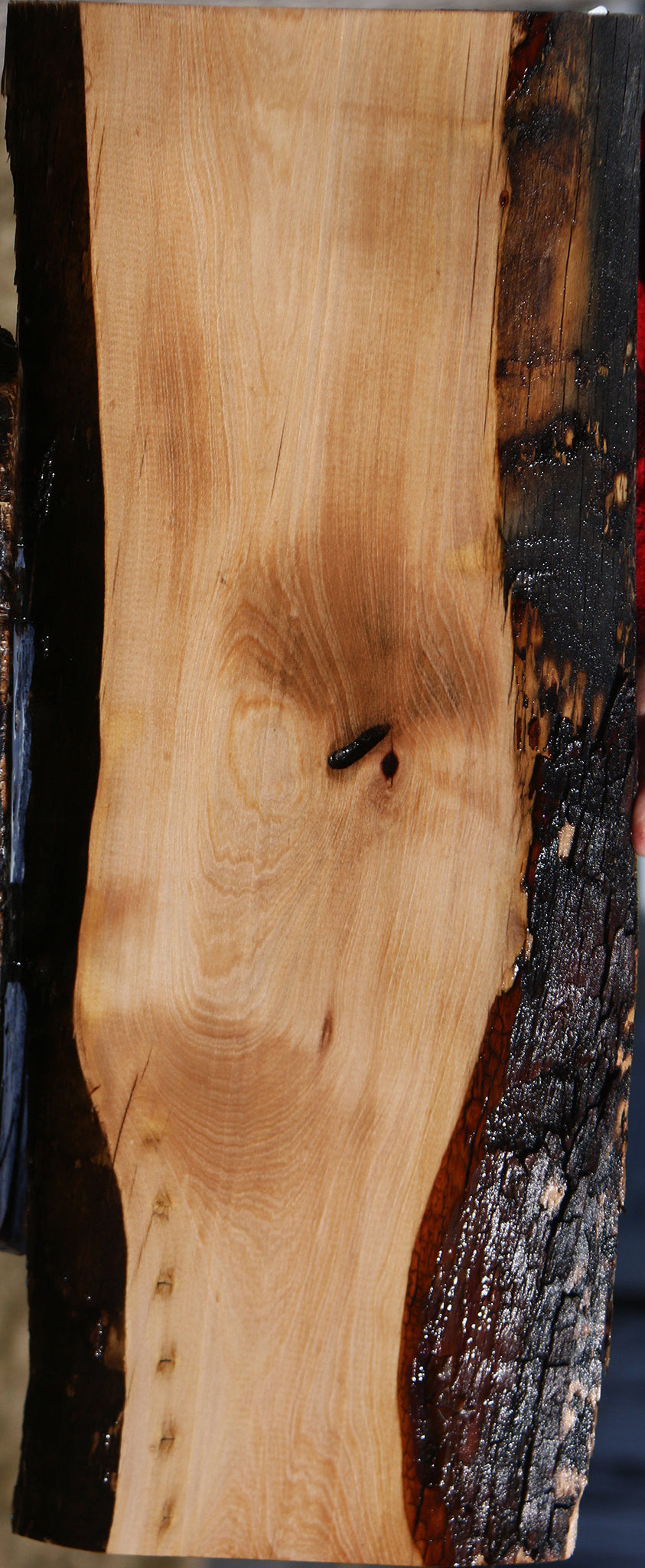 Madrone Live Edge Lumber