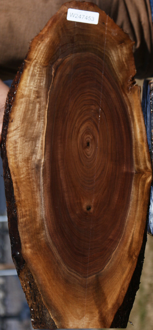 Claro Walnut Live Edge Lumber