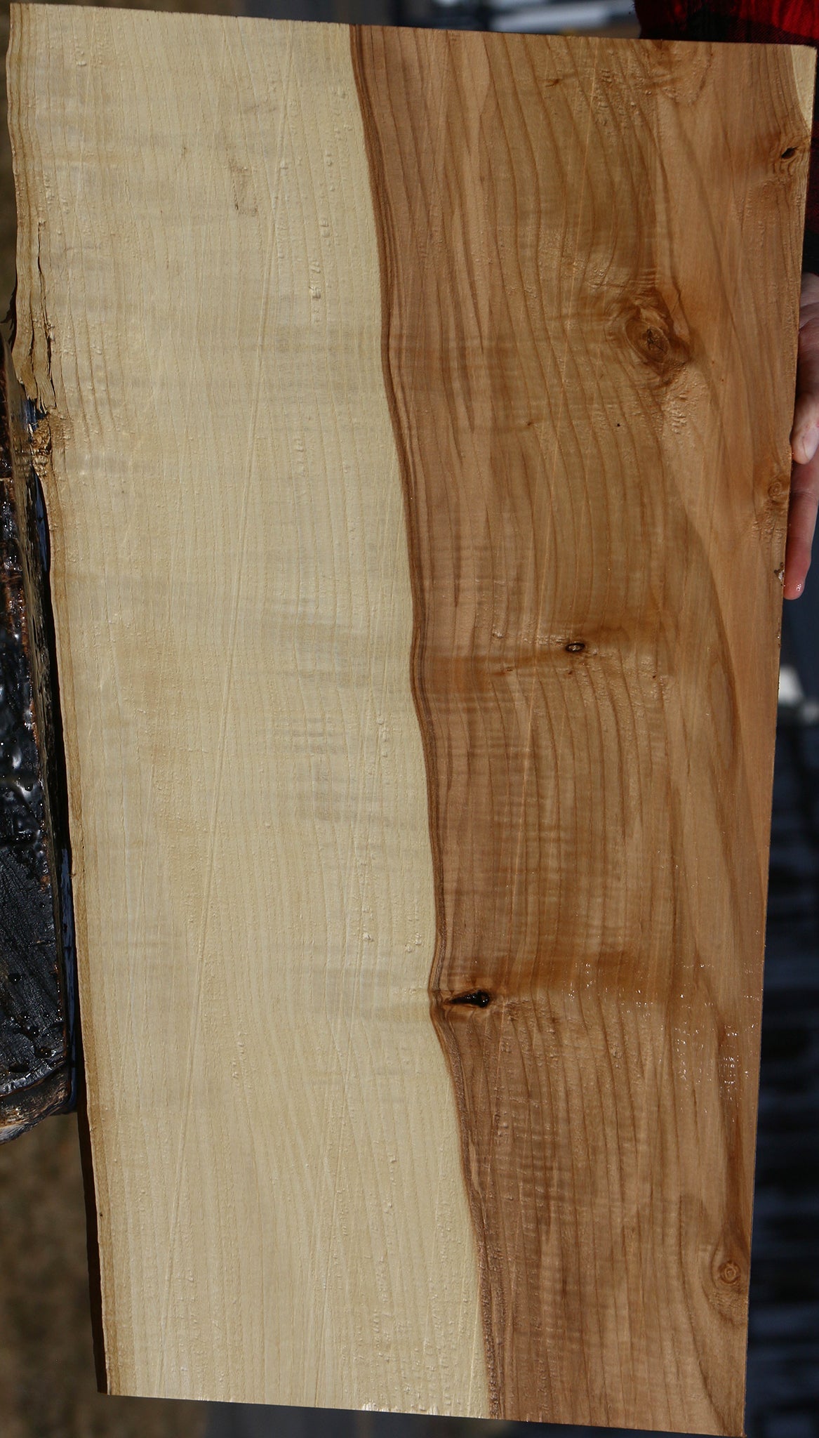 Extra Fancy Modesto Ash Live Edge Micro Lumber