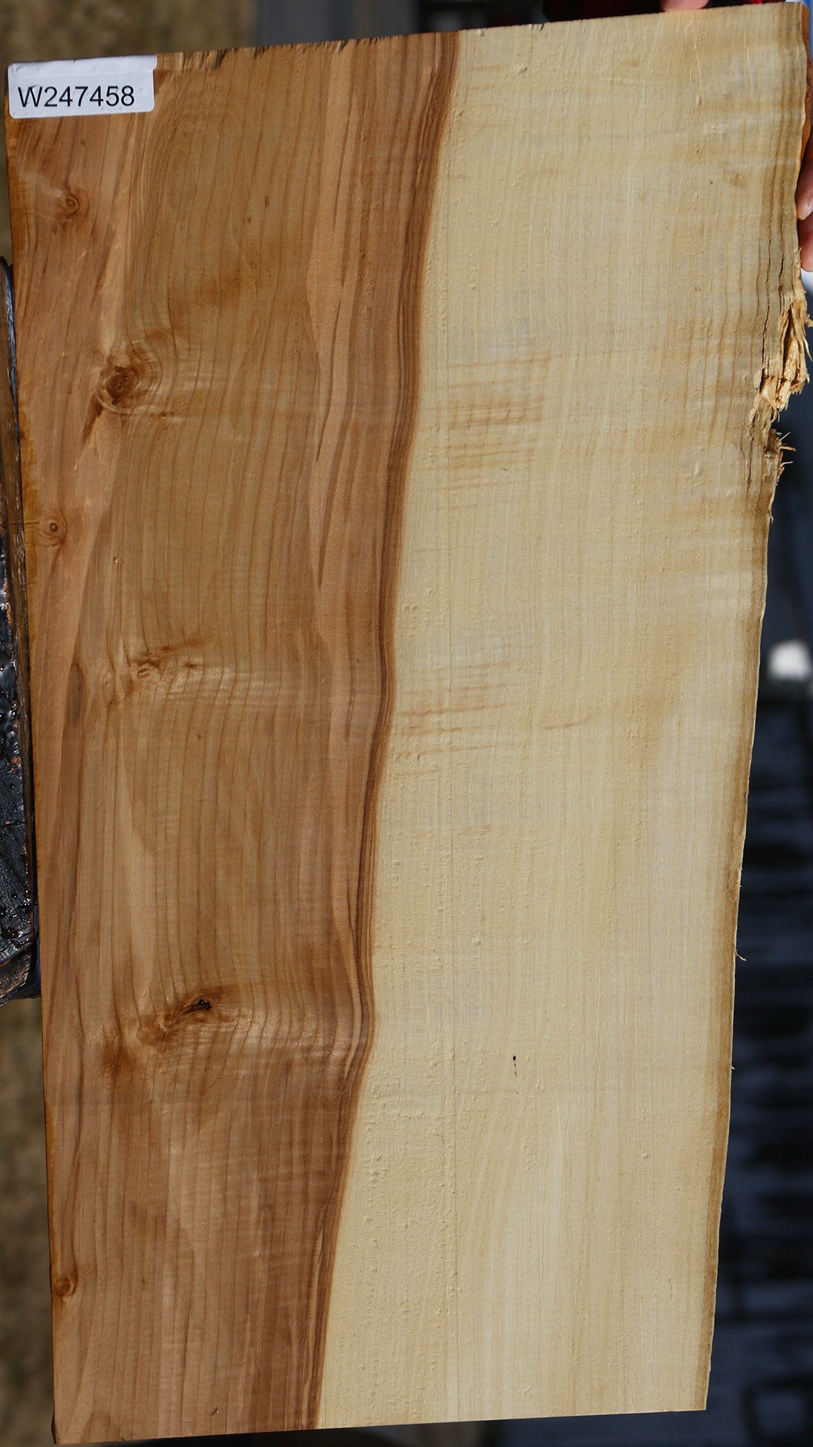 Extra Fancy Modesto Ash Live Edge Micro Lumber