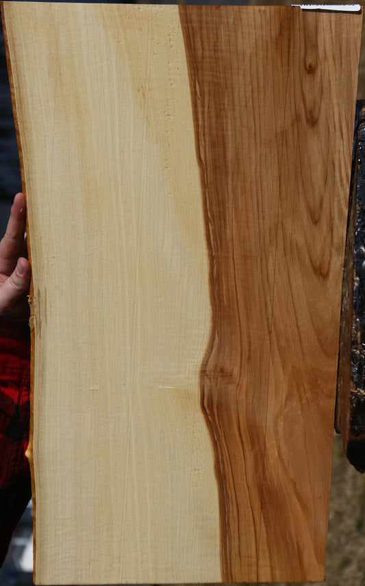 Modesto Ash Live Edge Micro Lumber