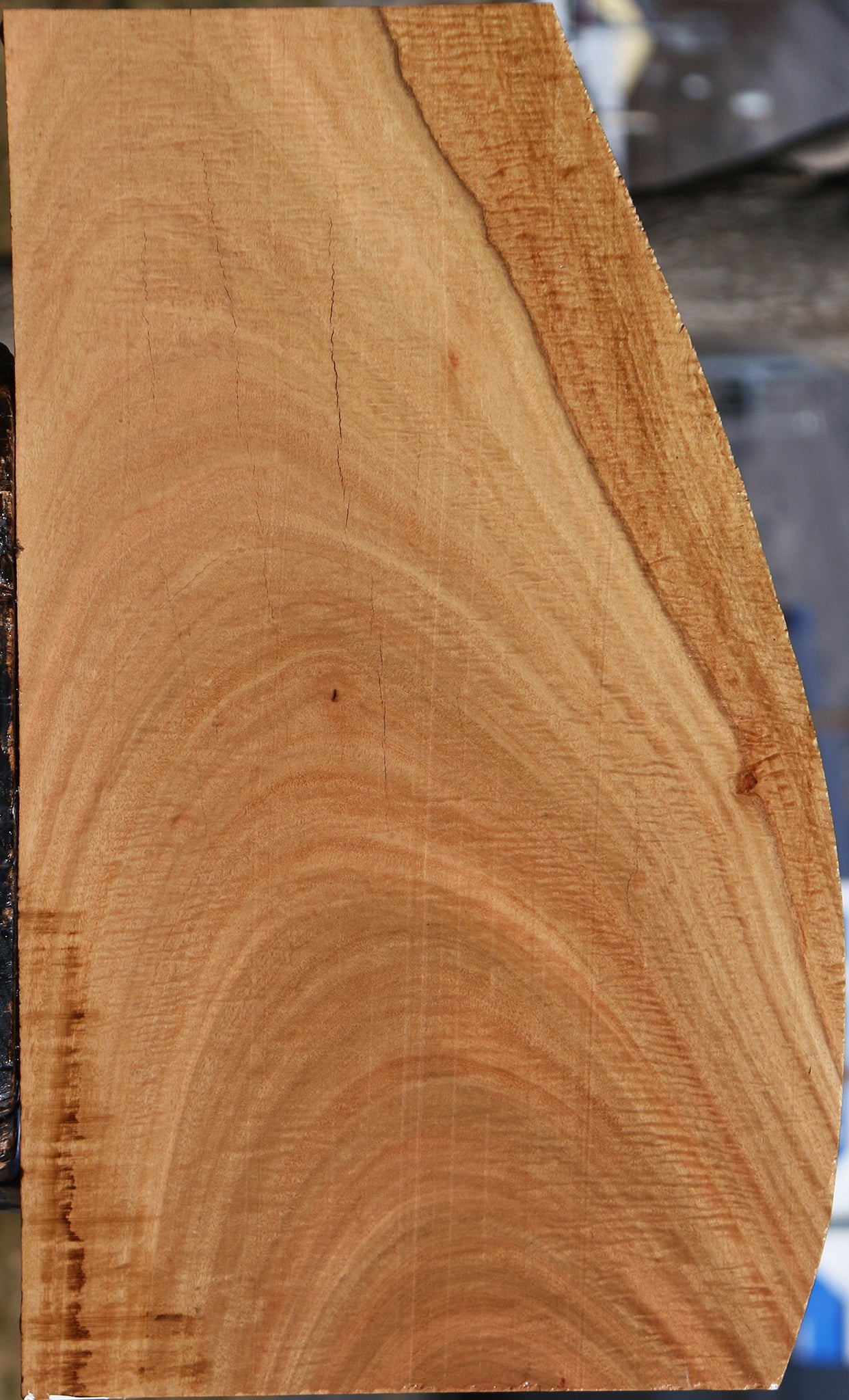 Extra Fancy Eucalyptus Live Edge Lumber