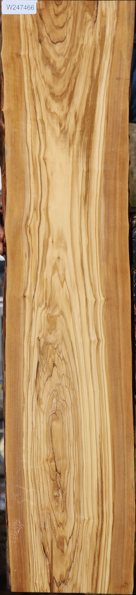 Italian Olive Live Edge Lumber