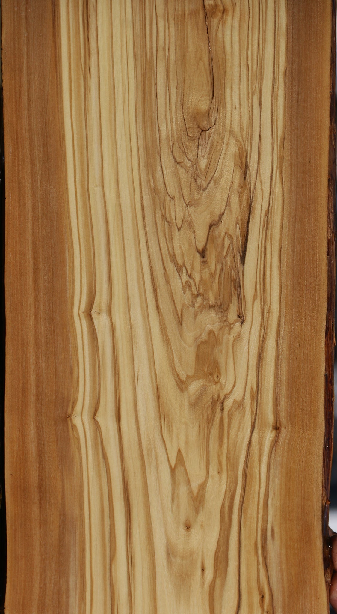 Italian Olive Live Edge Lumber