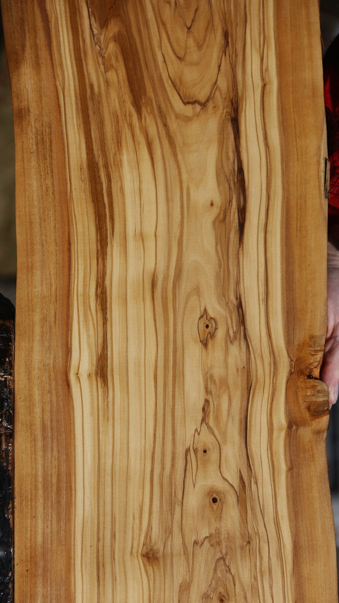 Italian Olive Live Edge Lumber
