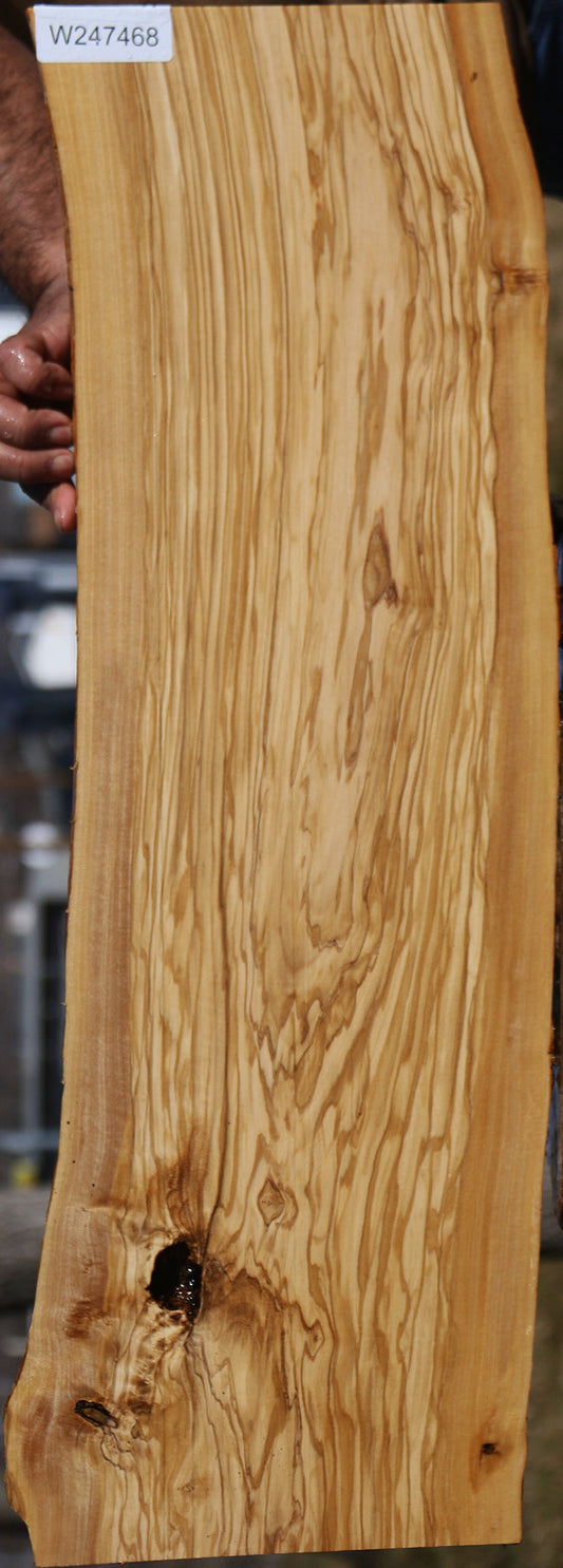 Italian Olive Live Edge Lumber
