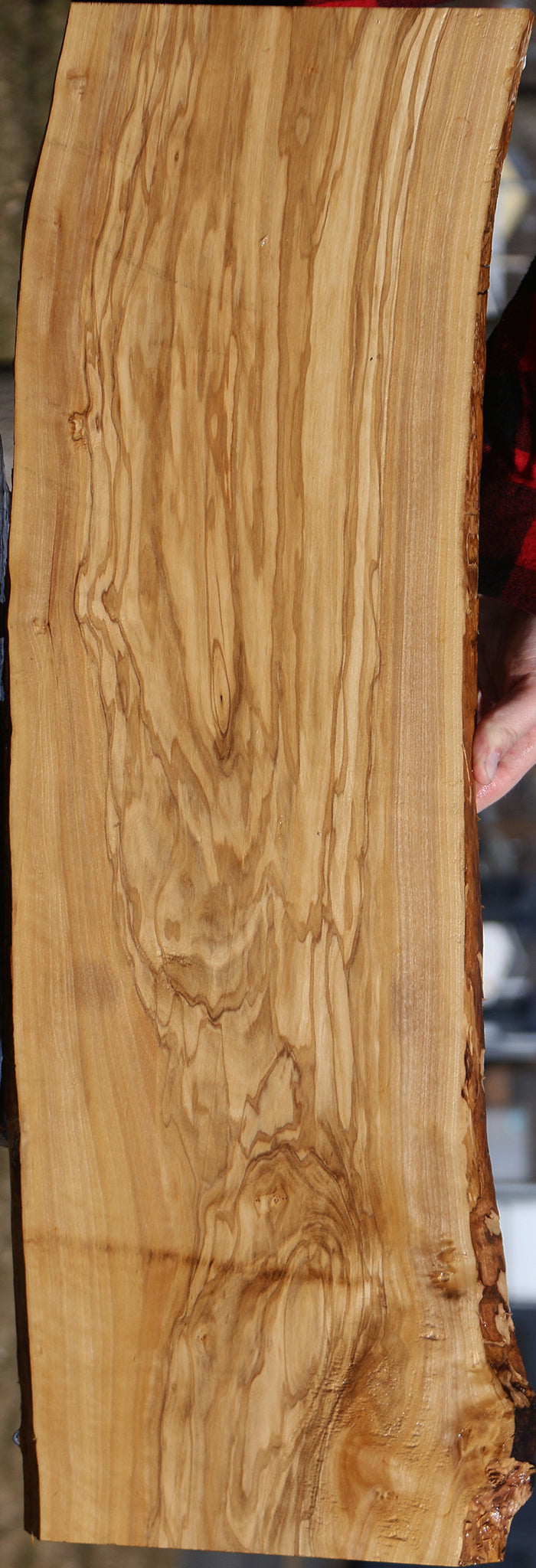 Italian Olive Live Edge Lumber