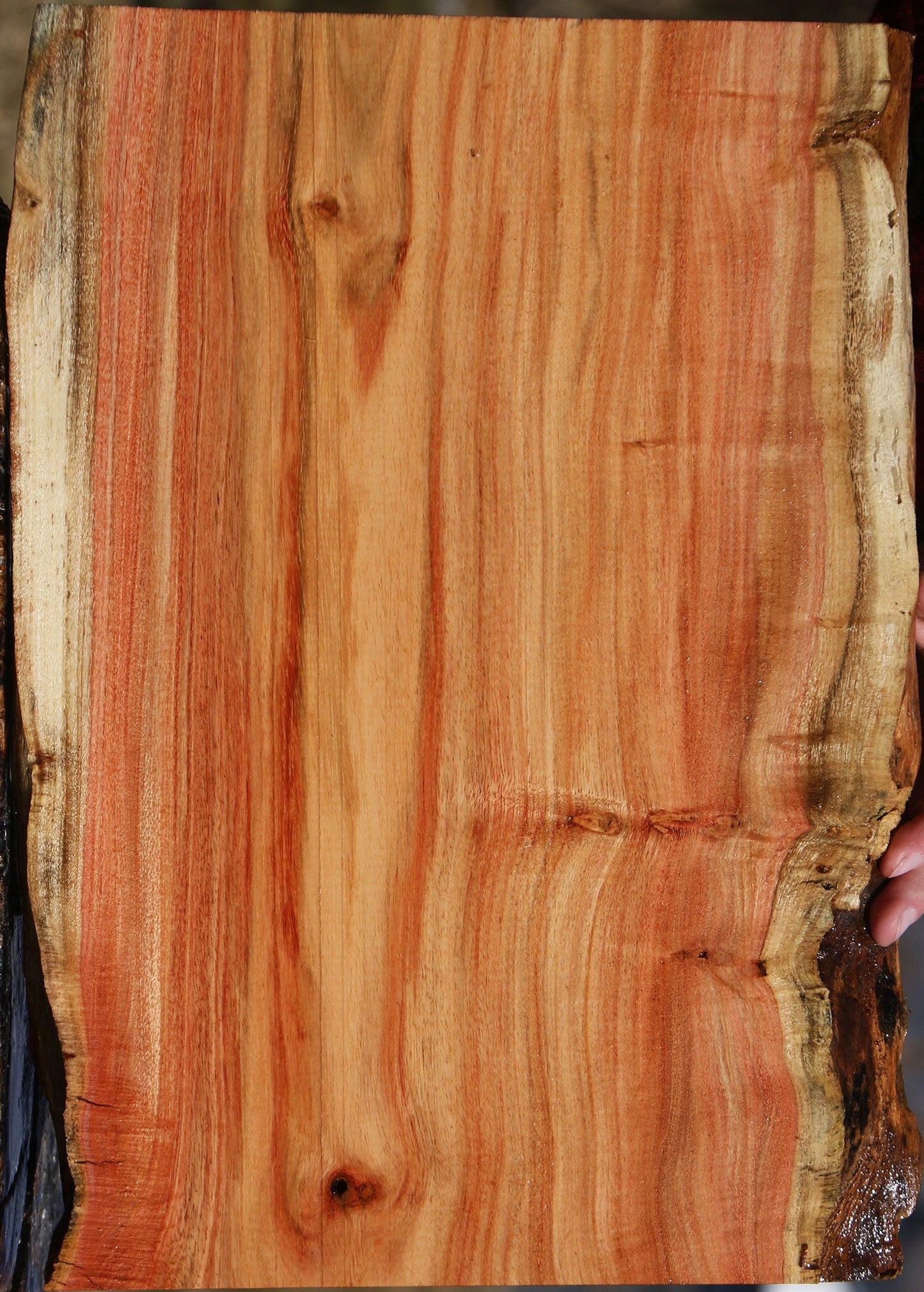 Carob Live Edge Lumber