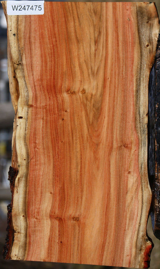 Carob Live Edge Lumber