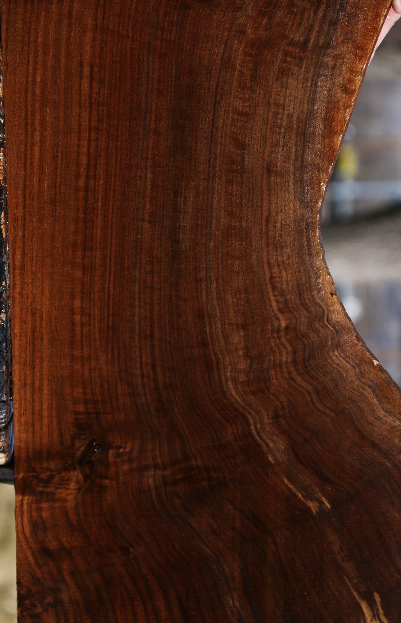 Extra Fancy Claro Walnut Live Edge Lumber