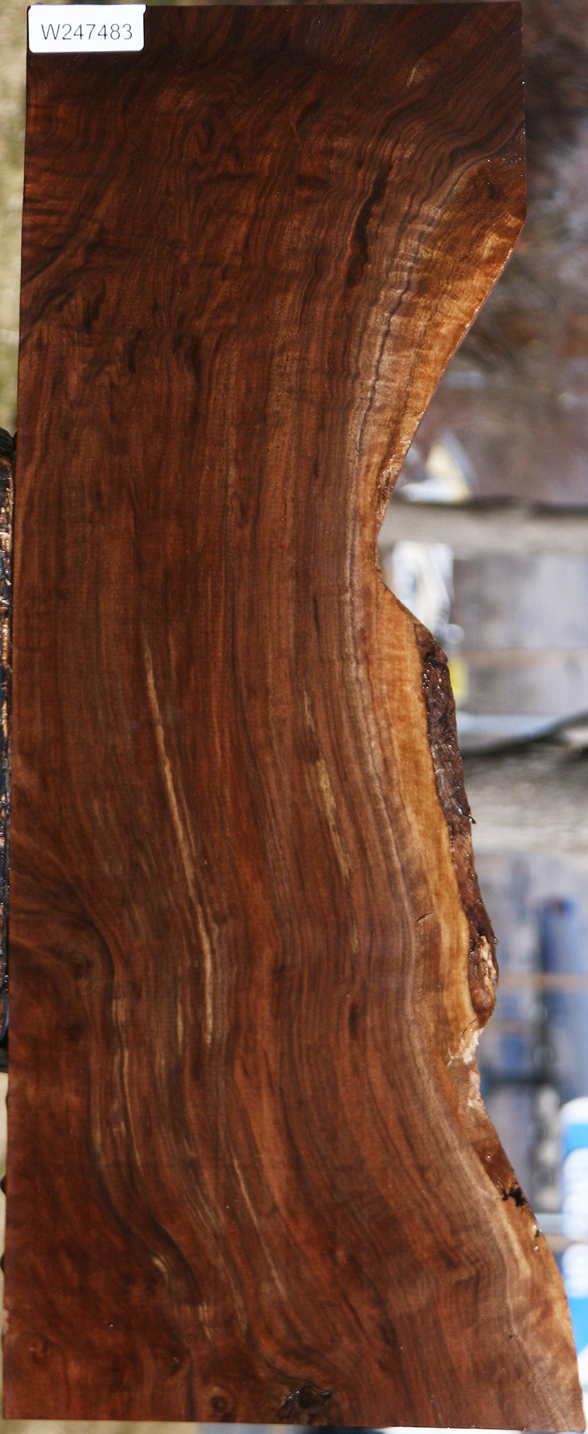 Extra Fancy Claro Walnut Live Edge Lumber