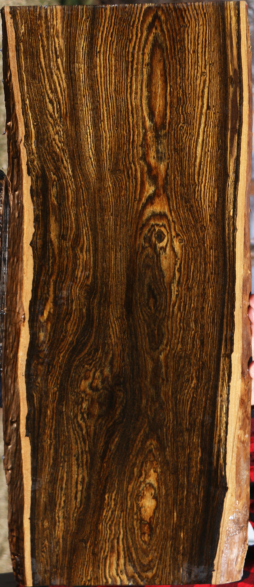 Figured Bocote Live Edge Lumber