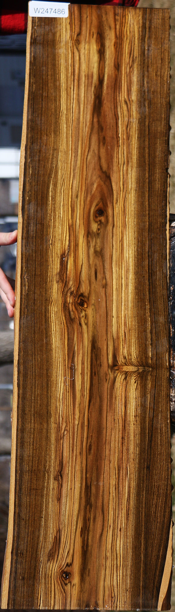 Bocote Live Edge Lumber