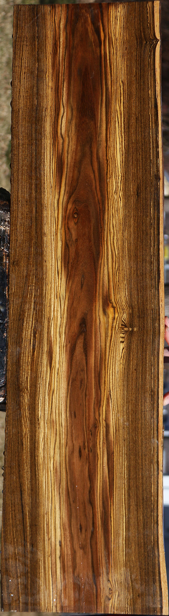 Bocote Live Edge Lumber