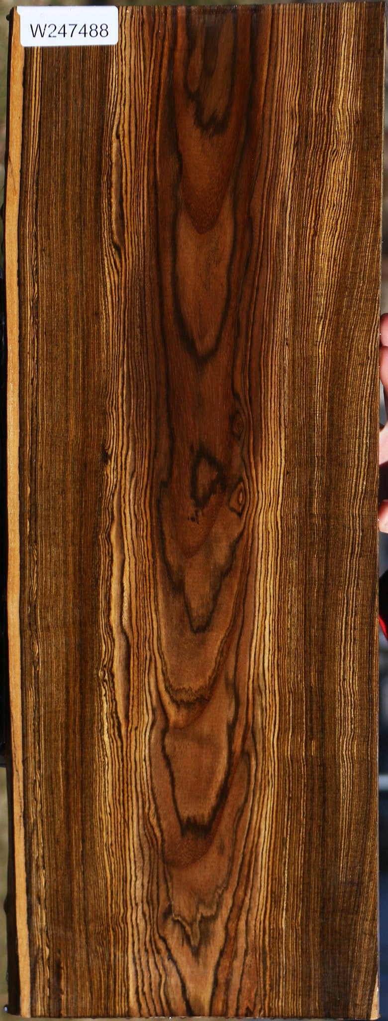 Bocote Live Edge Lumber