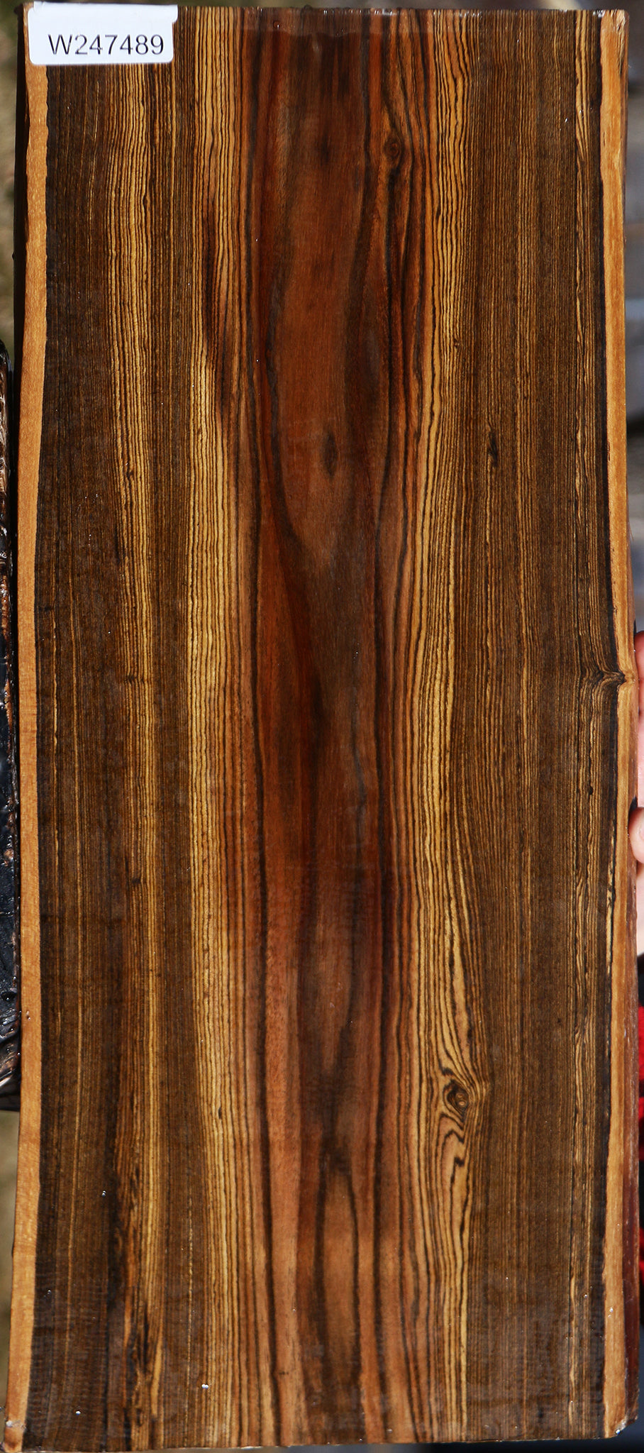 Bocote Live Edge Lumber