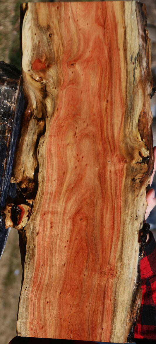Figured Carob Live Edge Lumber