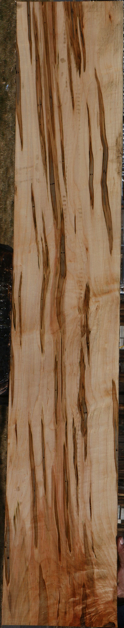 Extra Fancy Ambrosia Maple Lumber