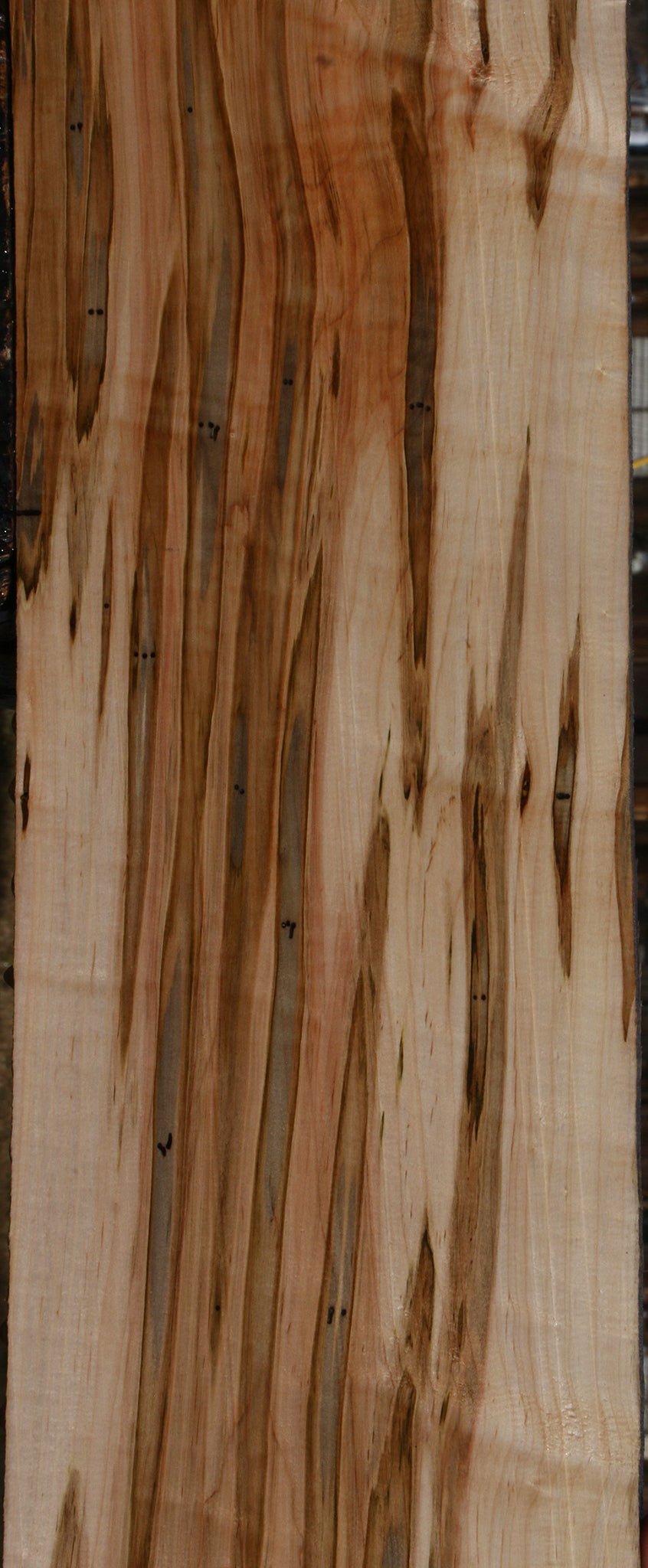 Extra Fancy Ambrosia Maple Lumber