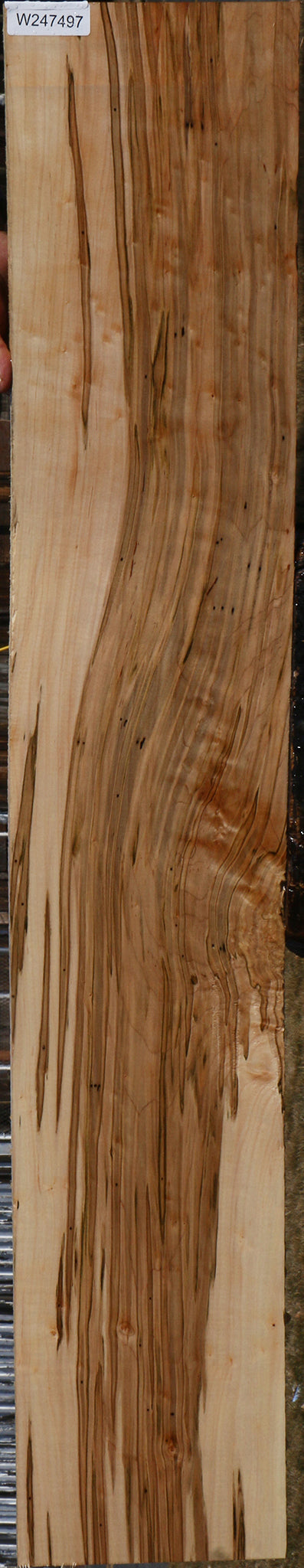 Extra Fancy Ambrosia Maple Lumber
