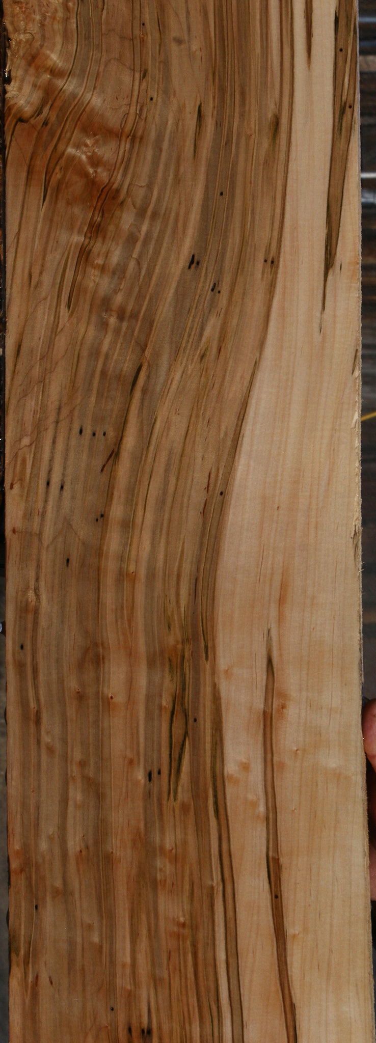 Extra Fancy Ambrosia Maple Lumber