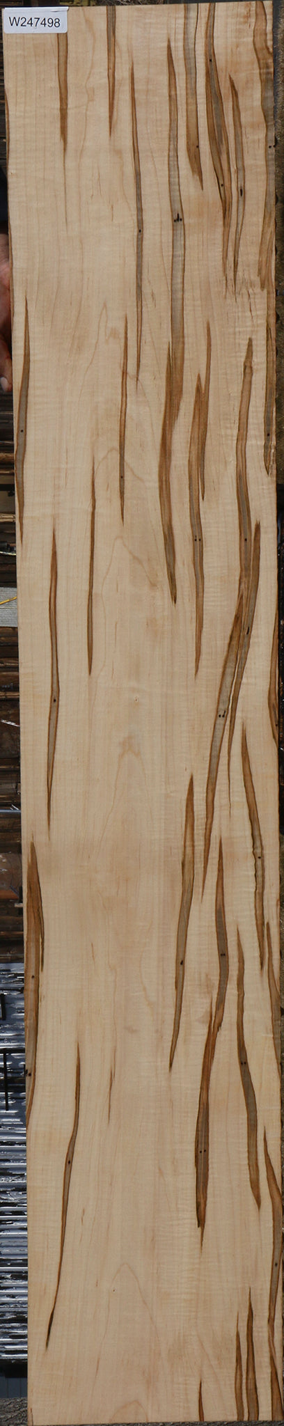 Extra Fancy Ambrosia Maple Lumber