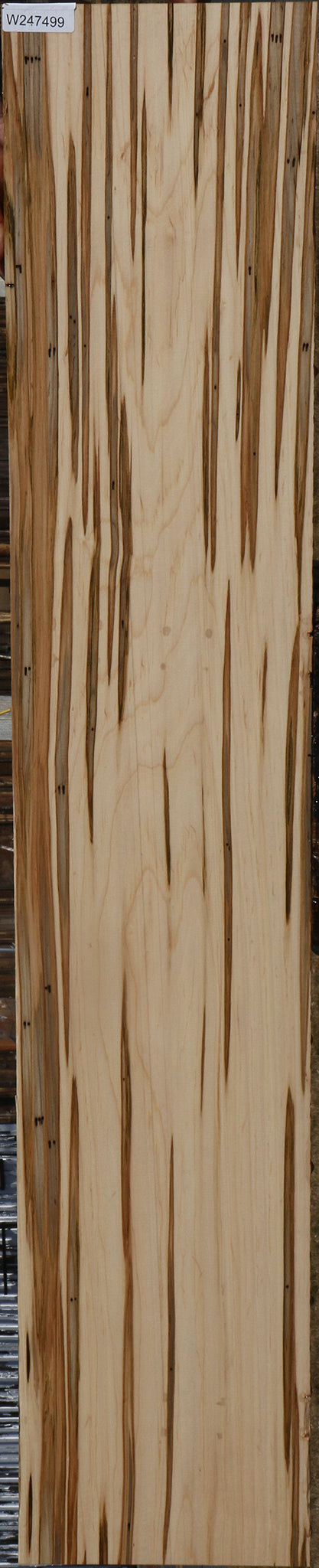 Figured Ambrosia Maple Lumber