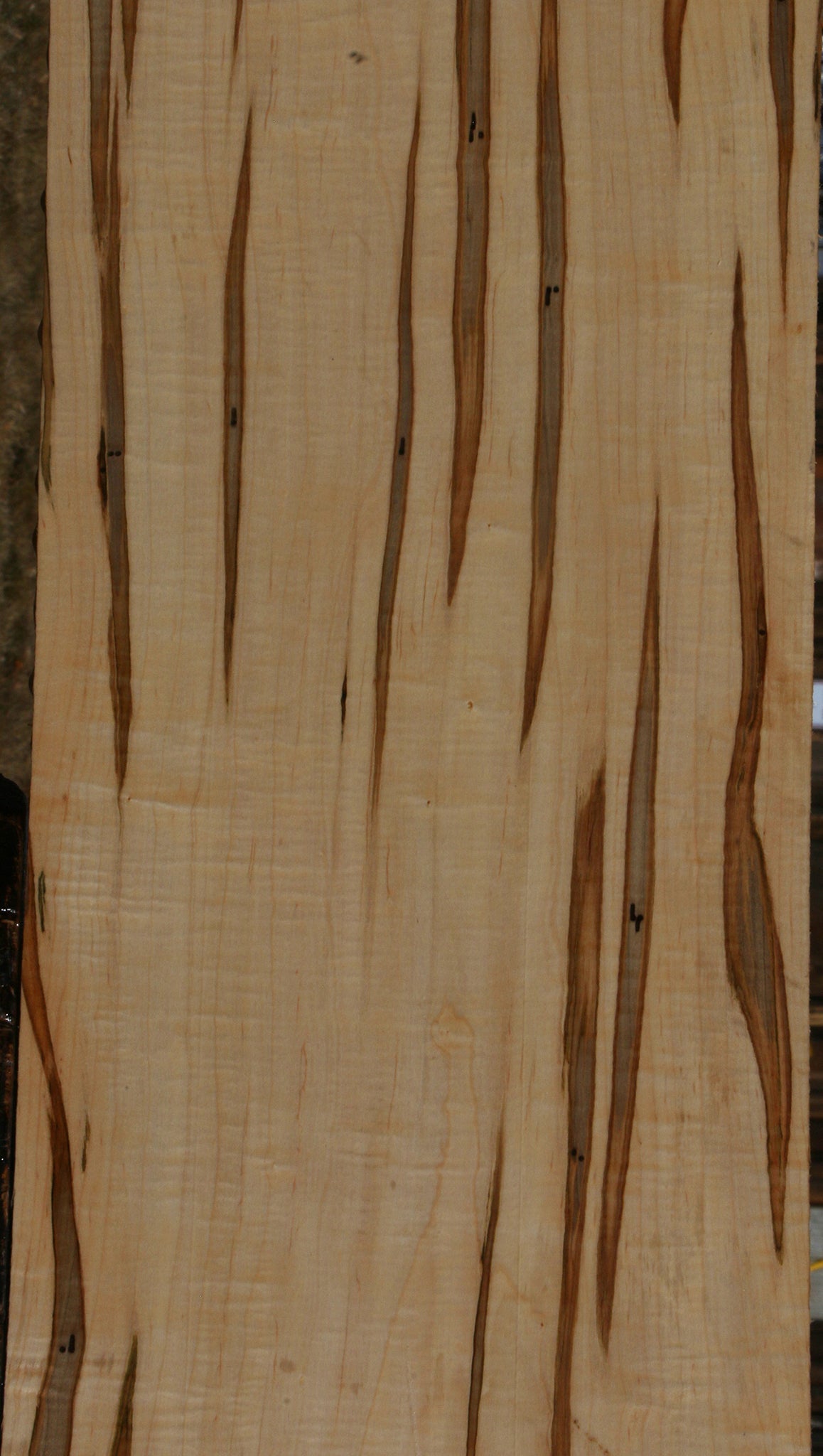 Extra Fancy Ambrosia Maple Lumber