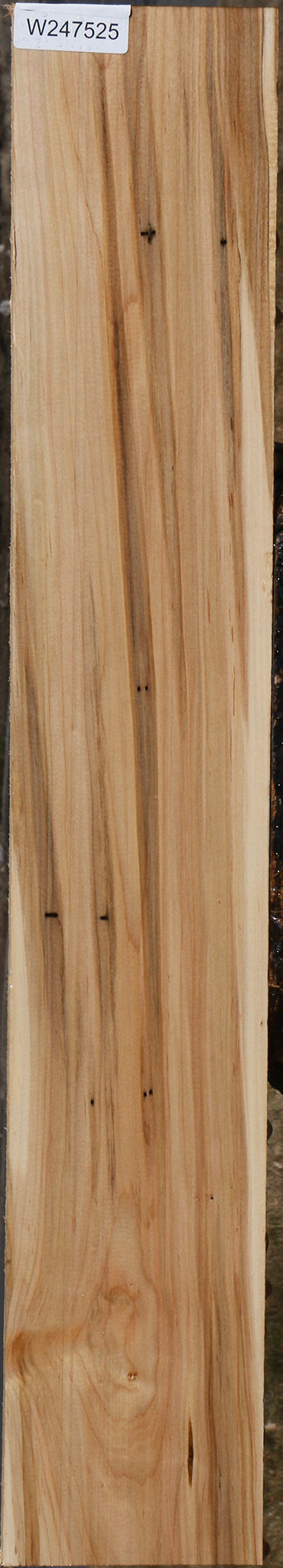 Ambrosia Maple Lumber