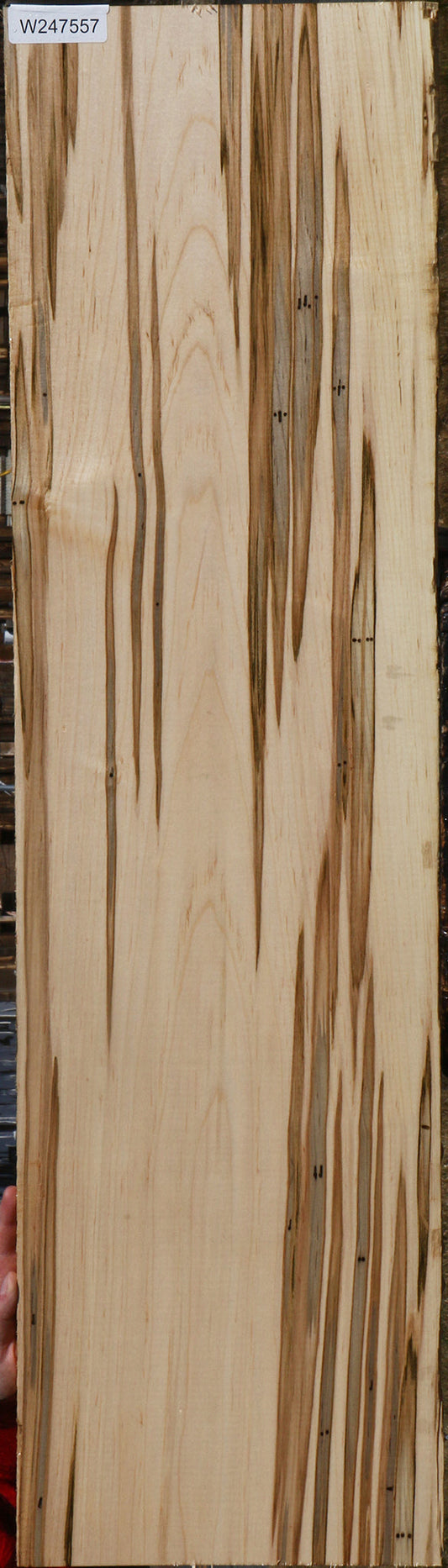 Figured Ambrosia Maple Lumber