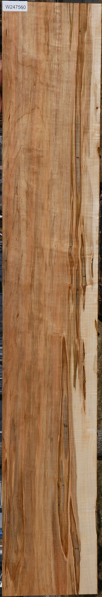 Figured Ambrosia Maple Lumber