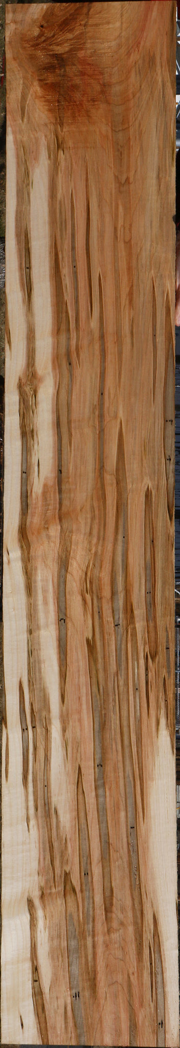 Extra Fancy Ambrosia Maple Lumber
