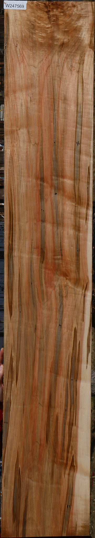 Extra Fancy Ambrosia Maple Lumber