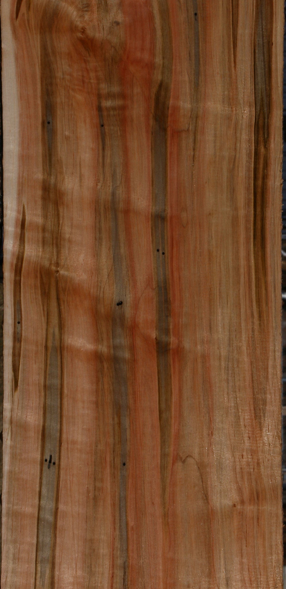Extra Fancy Ambrosia Maple Lumber