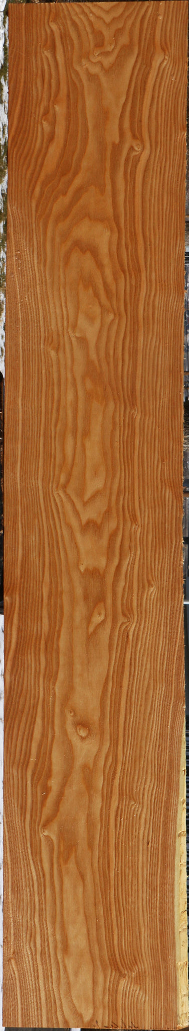 Kentucky Coffeetree Lumber