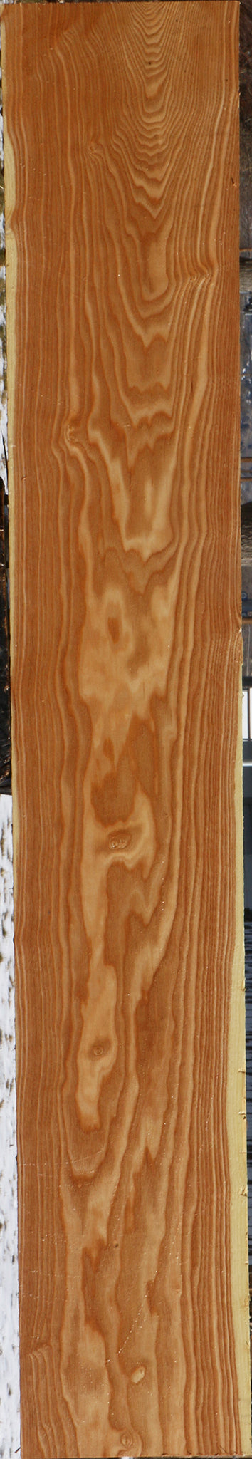 Kentucky Coffeetree Lumber