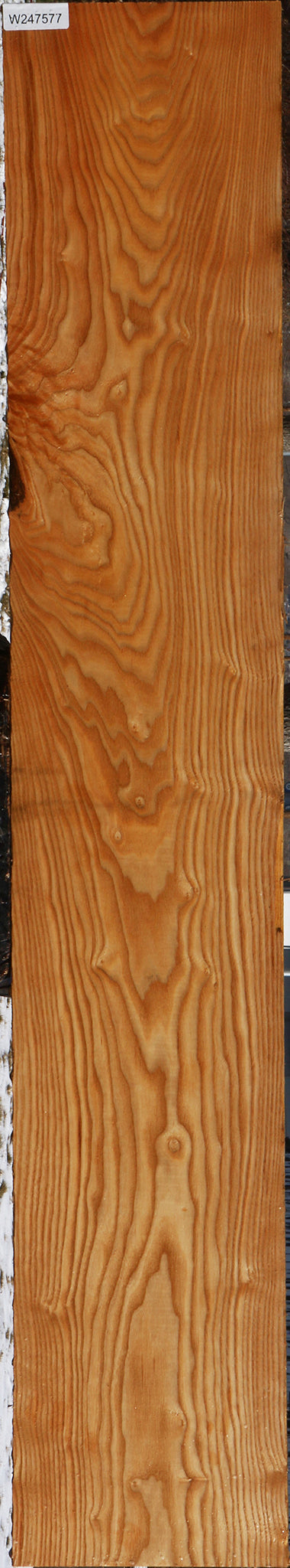 Kentucky Coffeetree Lumber