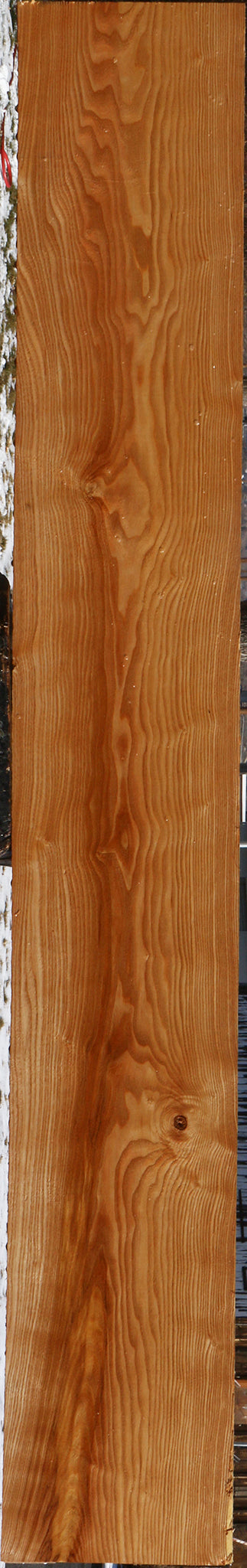 Kentucky Coffeetree Lumber