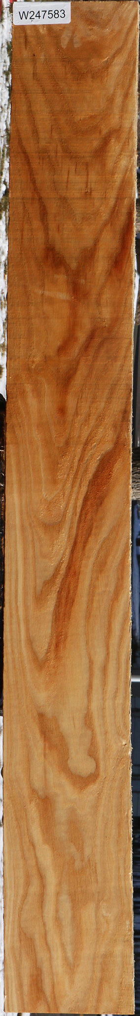 Kentucky Coffeetree Lumber